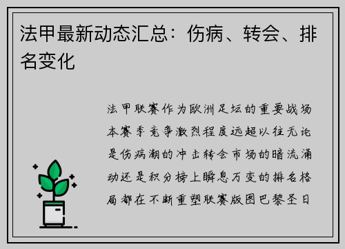 法甲最新动态汇总：伤病、转会、排名变化